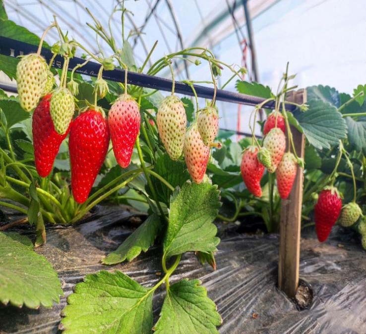 1678956857127210.jpg 1678956857127210.jpg